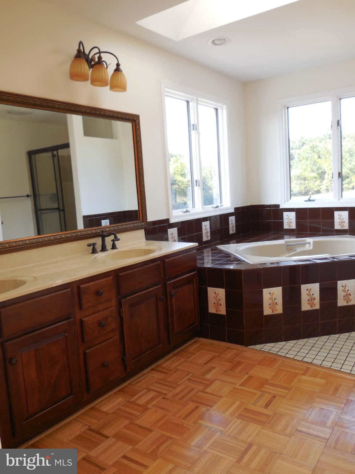 4415 Linthicum Road Dayton, MD 21036 - Photo 17 of 26 vaniety and tub