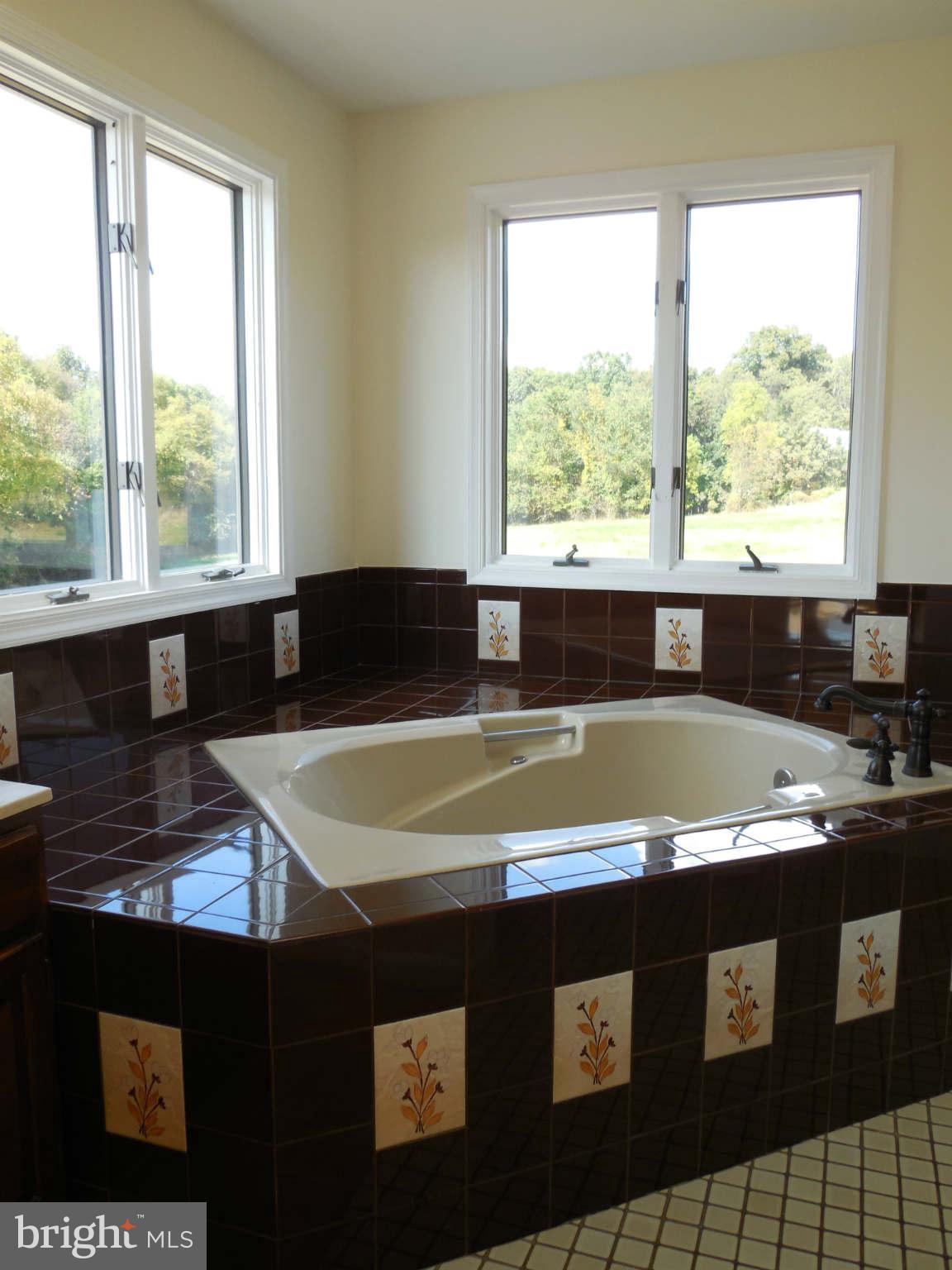 4415 Linthicum Road Dayton, MD 21036 - Photo 18 of 26 Soaking tub