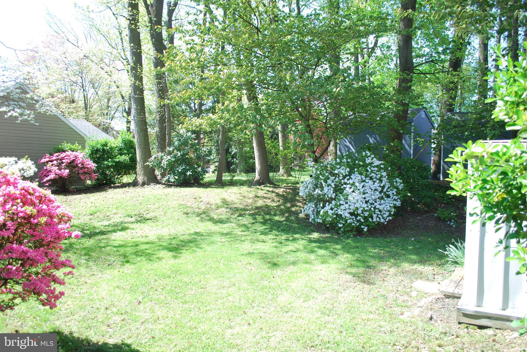 304 Buse Street Ridley Park, PA 19078 - Photo 30 of 33 Gallery Image 30