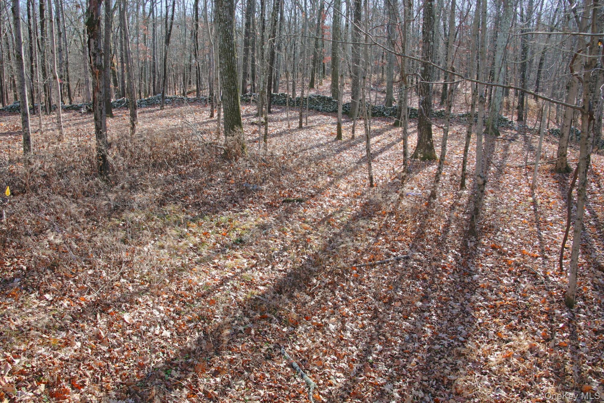 Electronics Road Clinton Corners, NY 12514 - Photo 11 of 21 a view of outdoor space with wooden fence