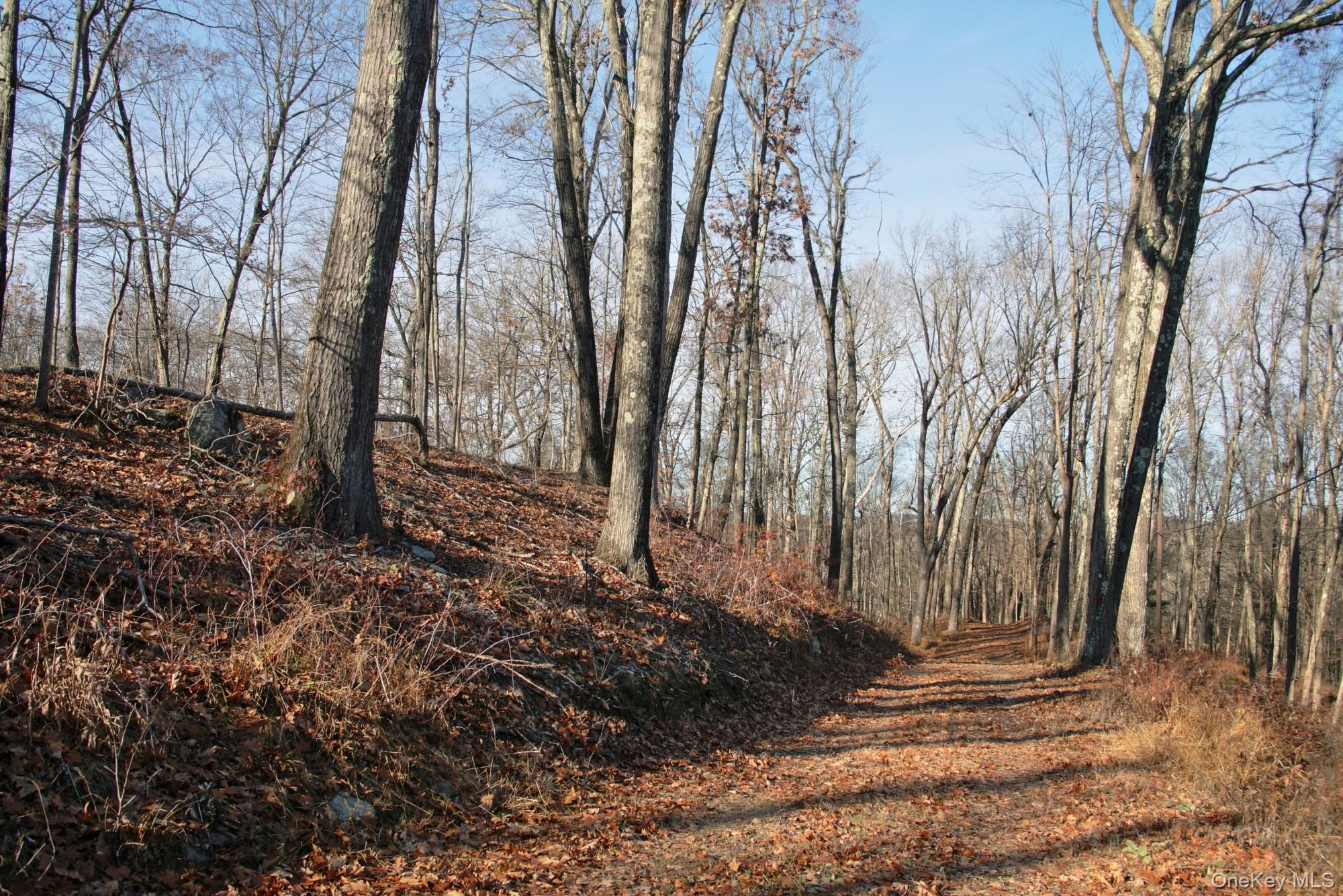 Electronics Road Clinton Corners, NY 12514 - Photo 13 of 21 a view of a backyard of the house