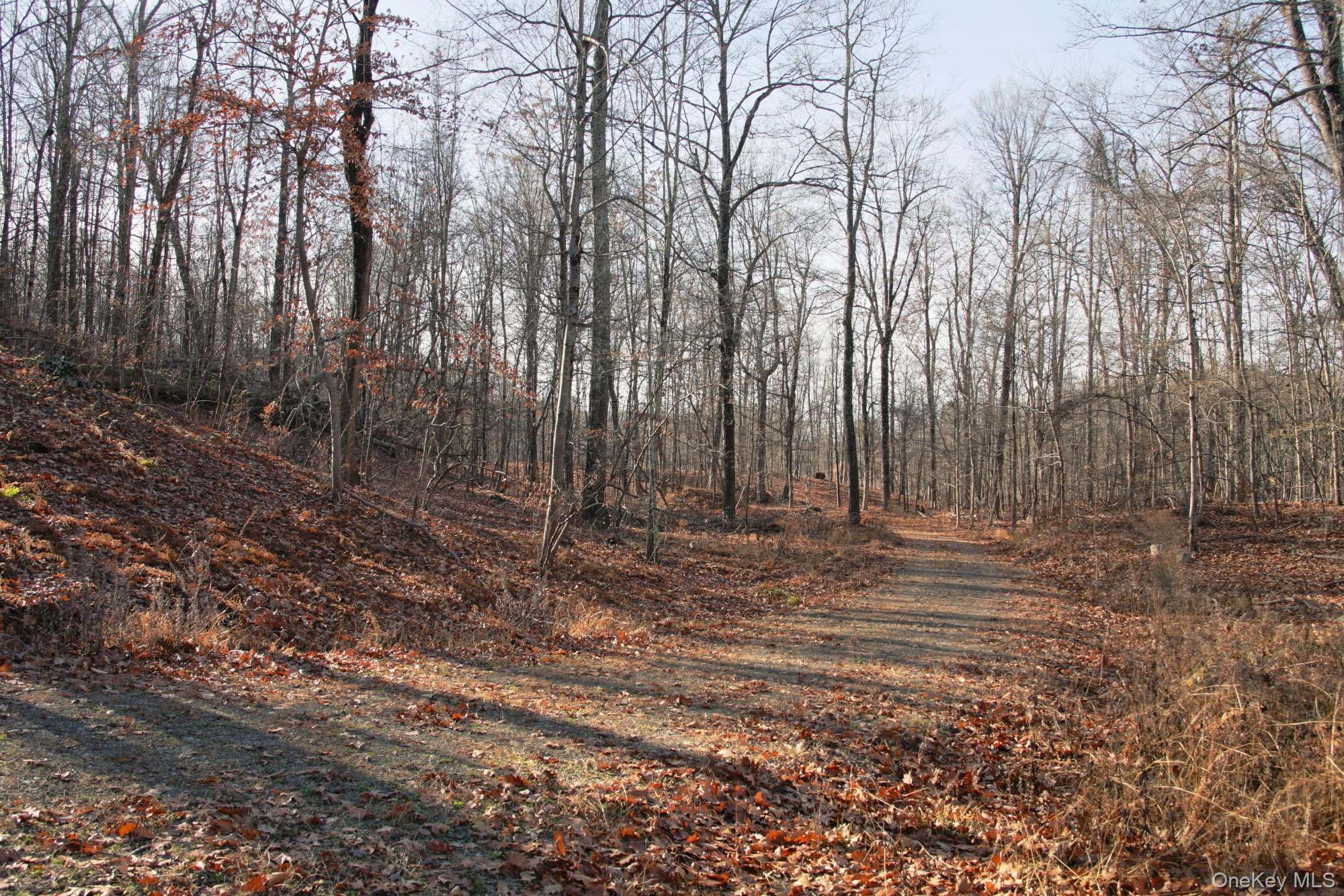 Electronics Road Clinton Corners, NY 12514 - Photo 14 of 21 a view of yard with trees