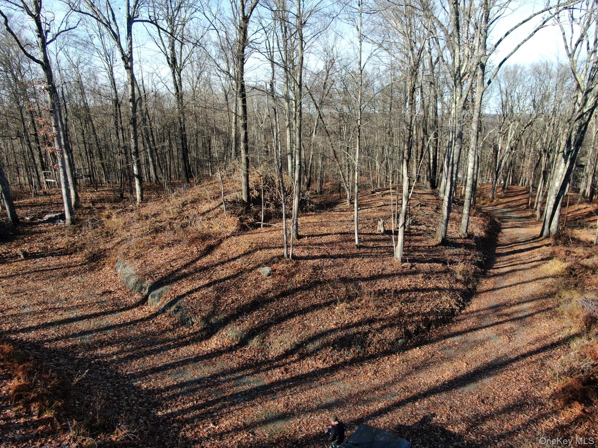 Electronics Road Clinton Corners, NY 12514 - Photo 17 of 21 a backyard of a house with lots of green space