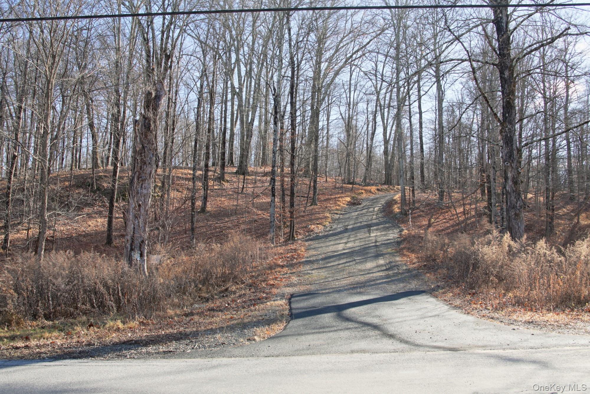 Electronics Road Clinton Corners, NY 12514 - Photo 2 of 21 a view of a pathway with a yard
