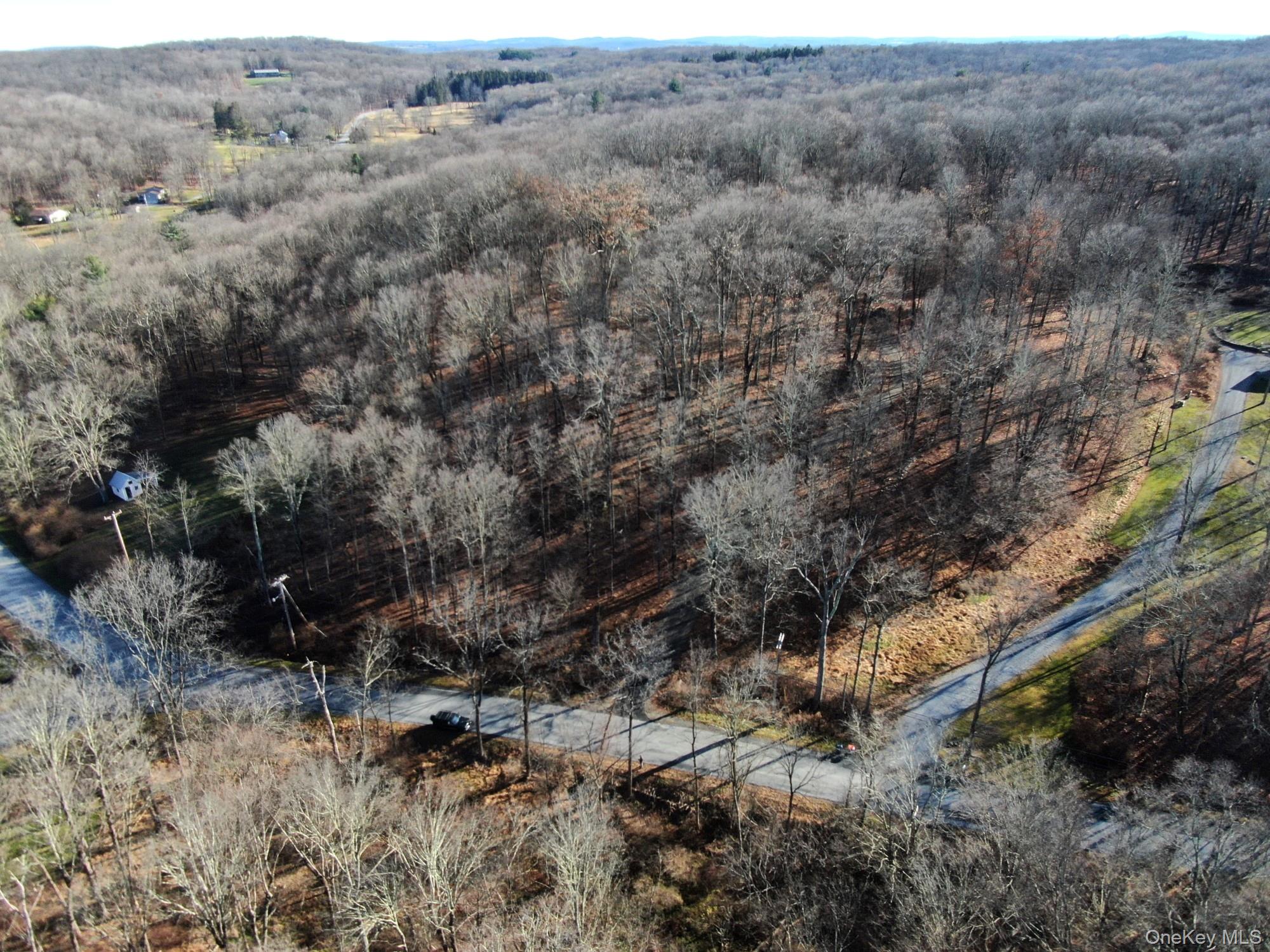 Electronics Road Clinton Corners, NY 12514 - Photo 26 of 31 Bird's eye view of a heavily wooded area