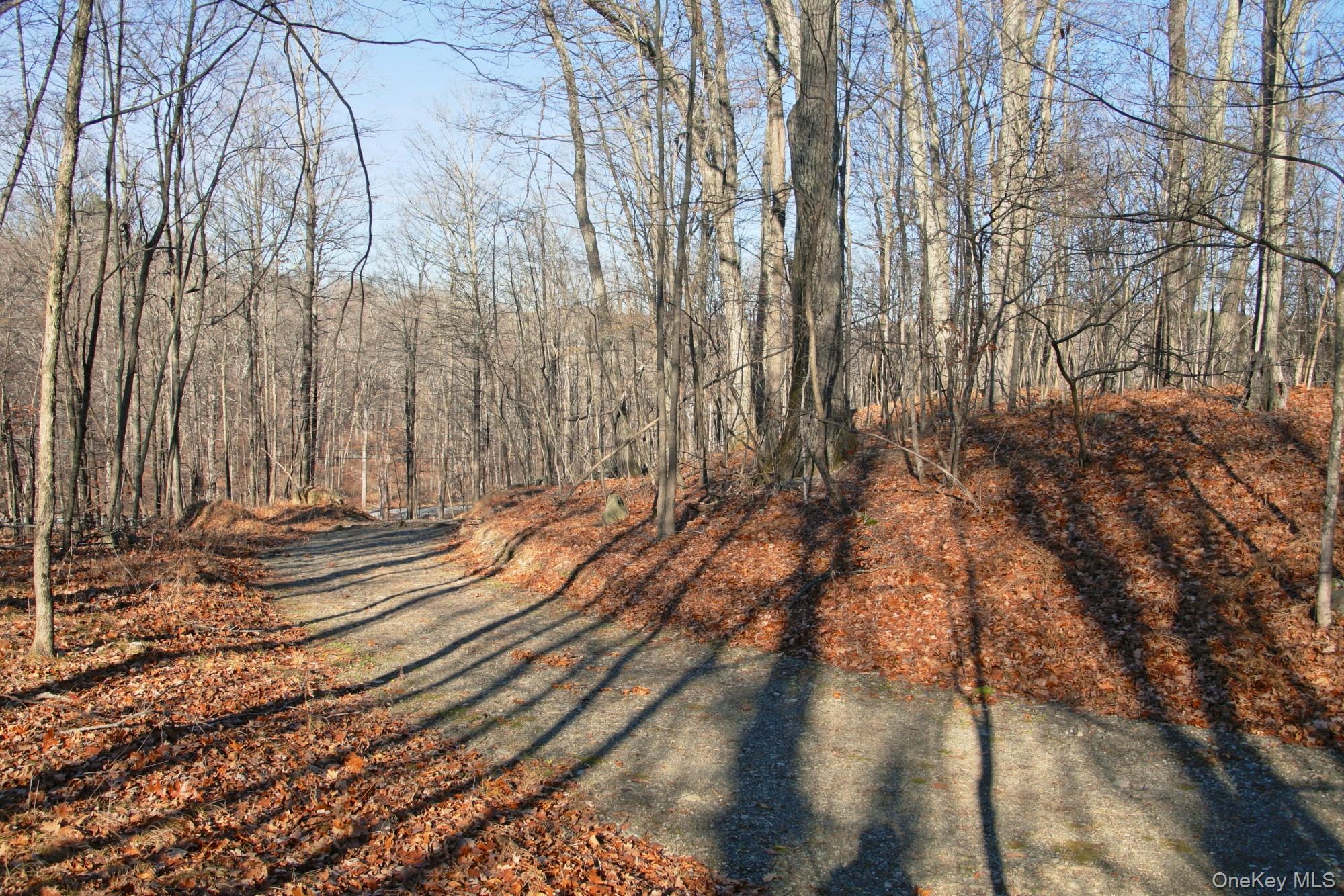 Electronics Road Clinton Corners, NY 12514 - Photo 5 of 21 a view of a yard