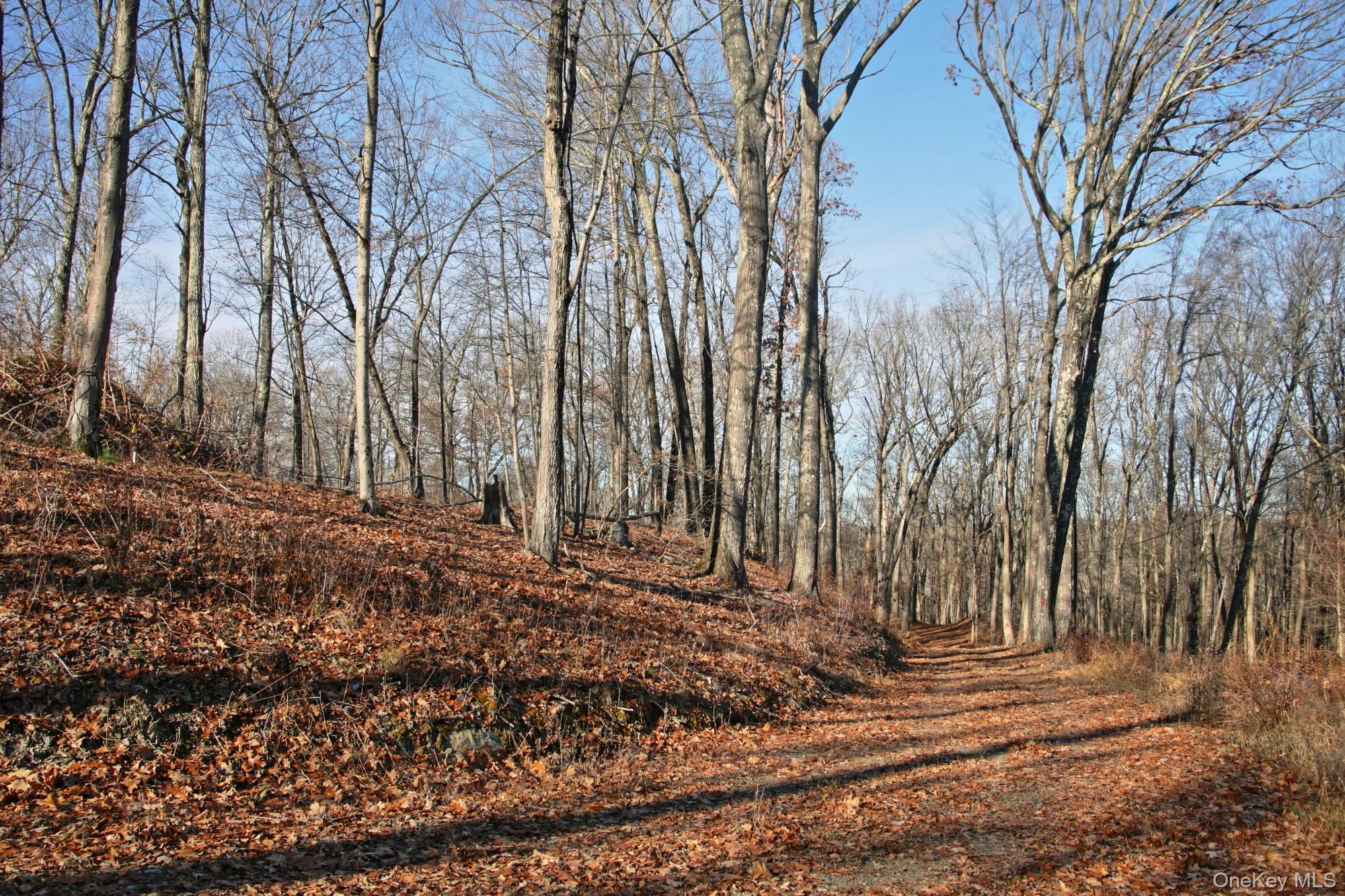 Electronics Road Clinton Corners, NY 12514 - Photo 6 of 21 a view of a backyard of the house