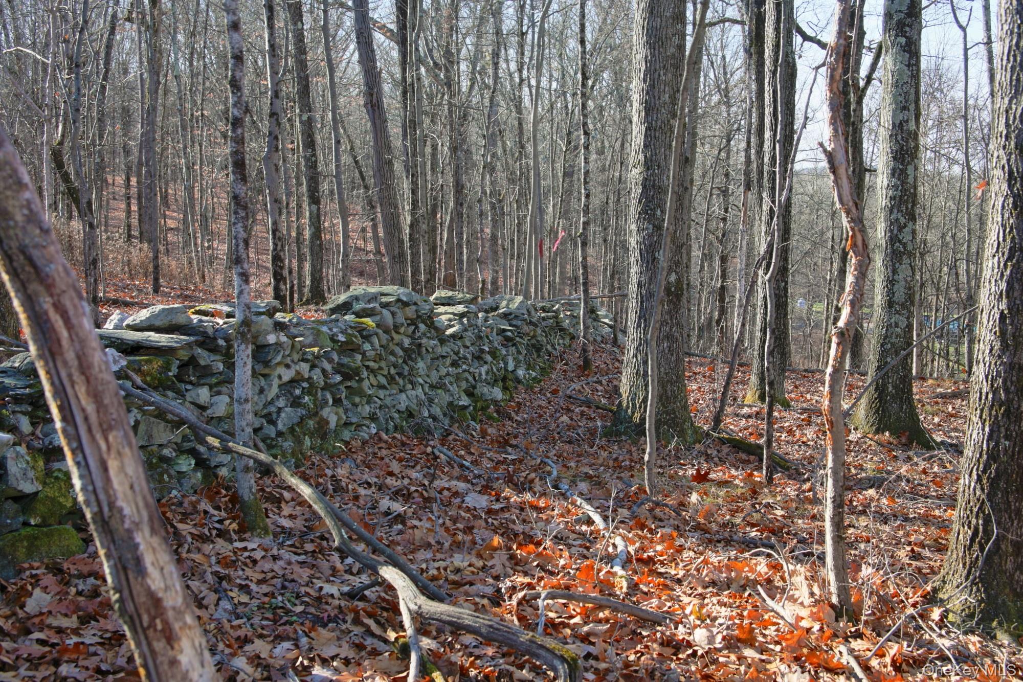 Electronics Road Clinton Corners, NY 12514 - Photo 7 of 21 a backyard of a house with lots of green space