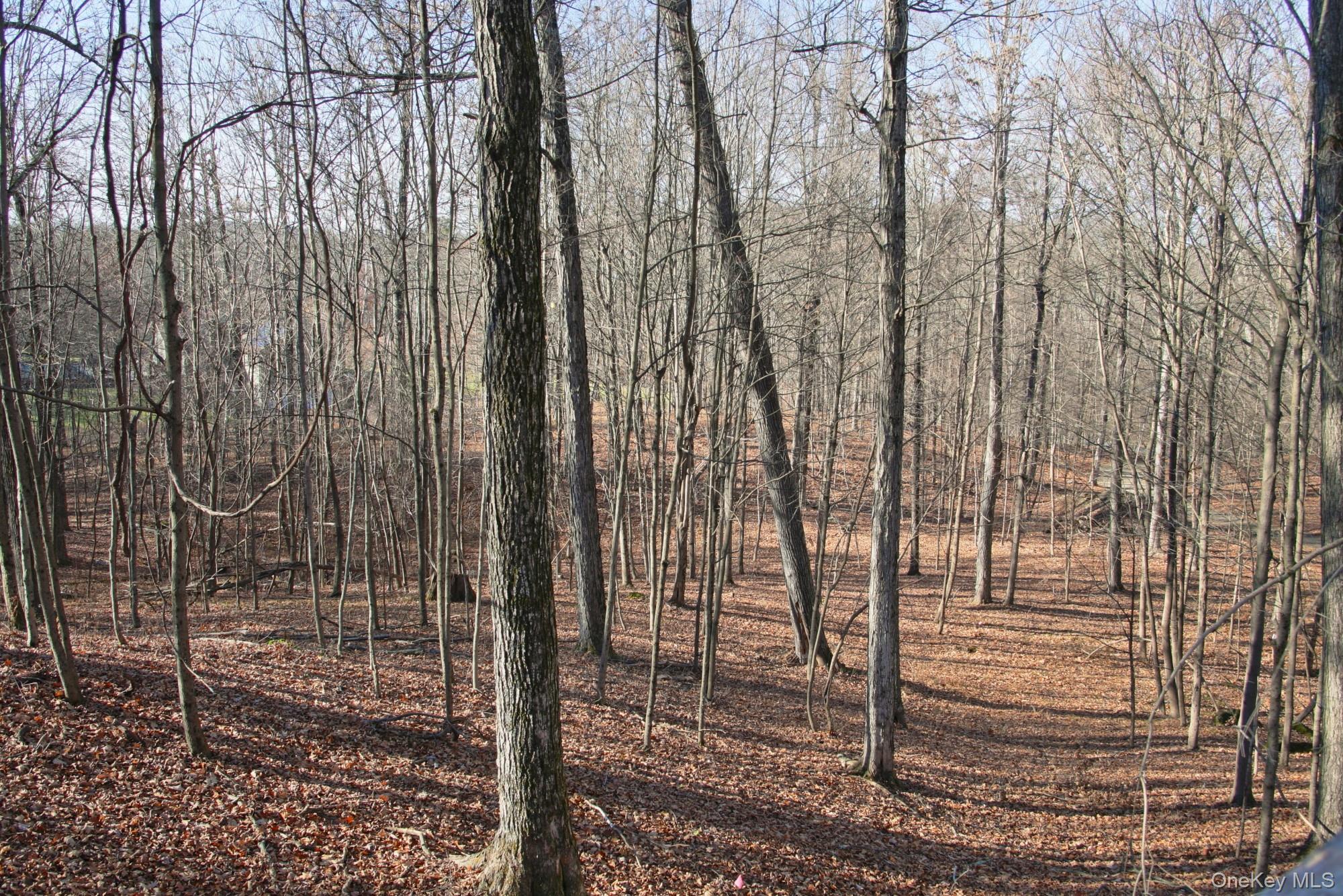 Electronics Road Clinton Corners, NY 12514 - Photo 9 of 21 a view of a pathway with a backyard