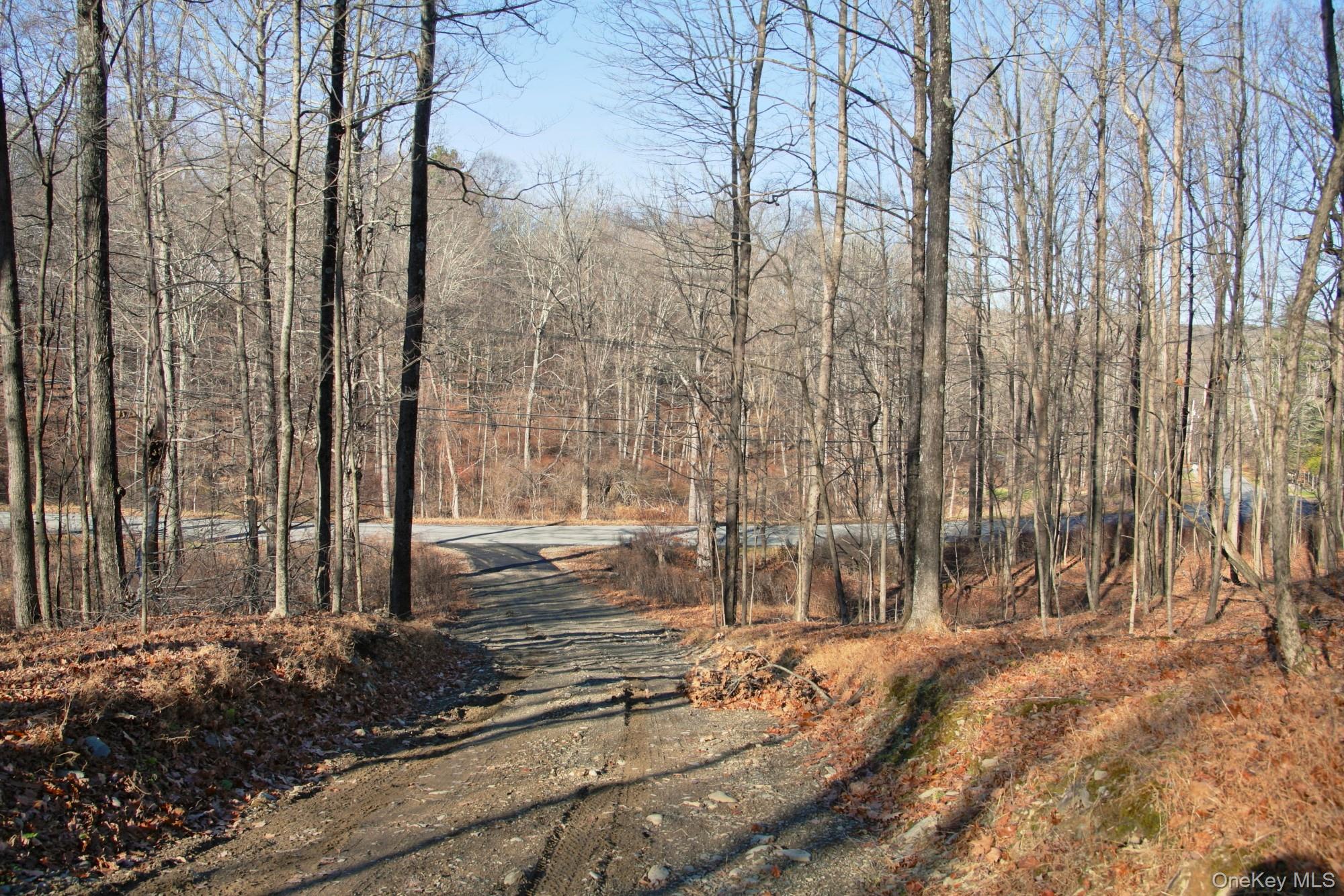 Electronics Road Clinton Corners, NY 12514 - Photo 10 of 31 View of road with a wooded view