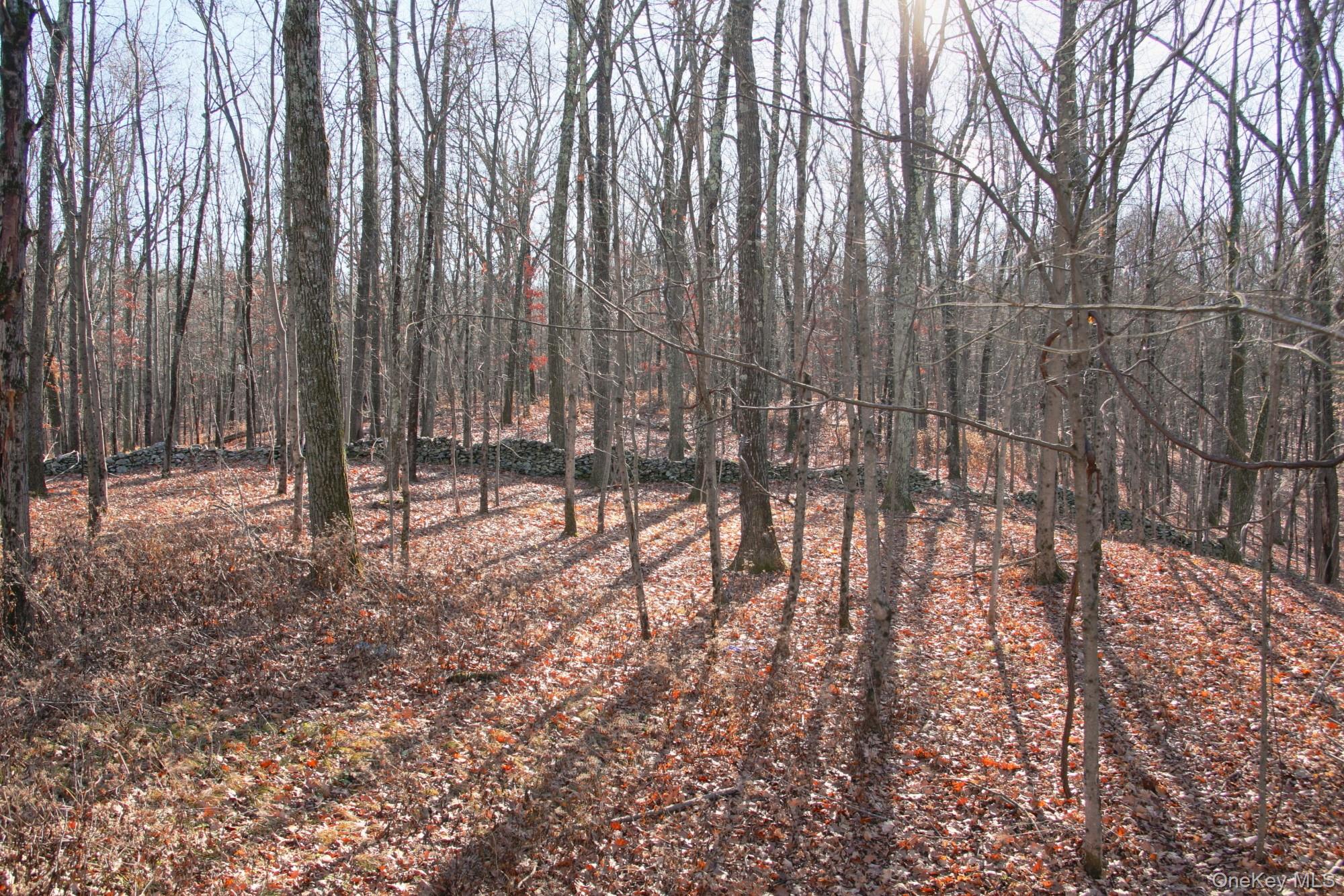 Electronics Road Clinton Corners, NY 12514 - Photo 10 of 21 a view of outdoor space with lots of trees