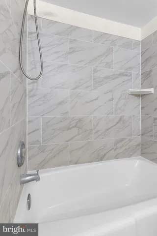 a bathroom with a bath tub and a shower