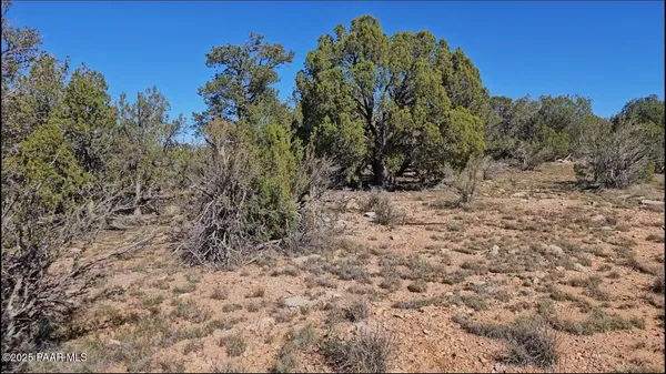 $8,500 | 54913 Echo Lane, Seligman, AZ 86337