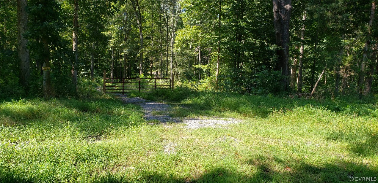 0 Landora Bridge Road Ruther Glen, VA 22546 - Photo 3 of 22 a view of backyard with green space
