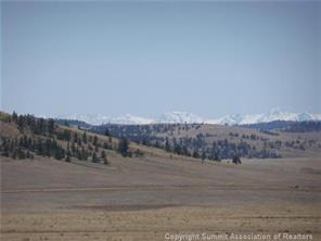 1379 East Ranger Hill Road Hartsel, CO 80449 - Photo 5 of 9 a view of a dry yard with mountain and trees