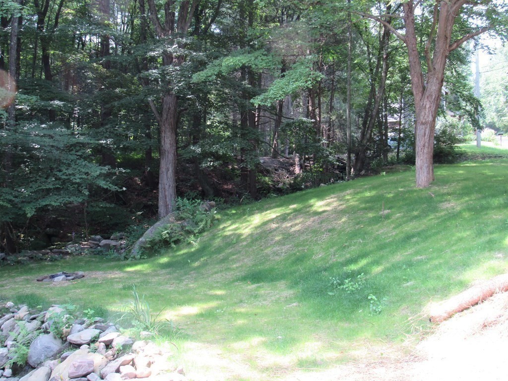 18 Blandford Hill Road Huntington, MA 01050 - Photo 26 of 33 a view of a trees with a yard