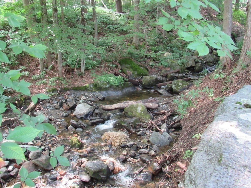 18 Blandford Hill Road Huntington, MA 01050 - Photo 28 of 33 a view of a forest with trees