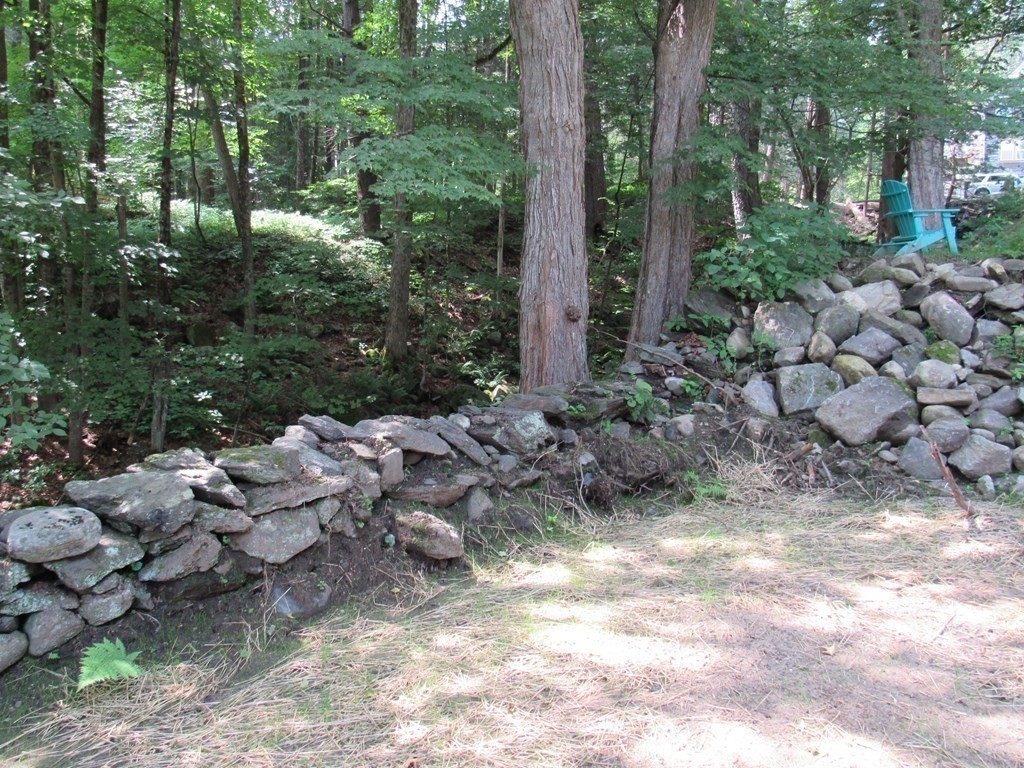 18 Blandford Hill Road Huntington, MA 01050 - Photo 29 of 33 a view of a forest with lots of trees