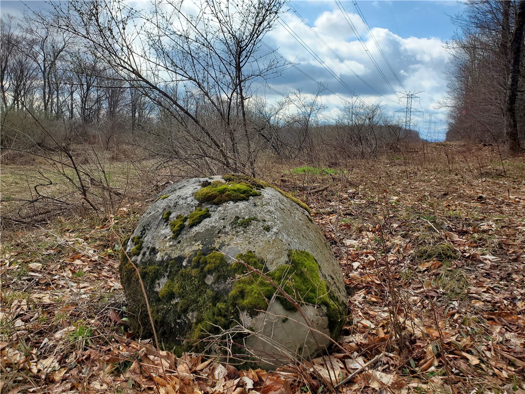 Lot 3 Goddards Road Hartwick, NY 13348 - Photo 12 of 29