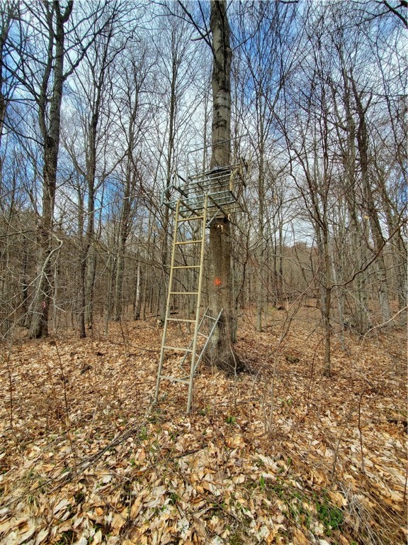 Lot 3 Goddards Road Hartwick, NY 13348 - Photo 13 of 29