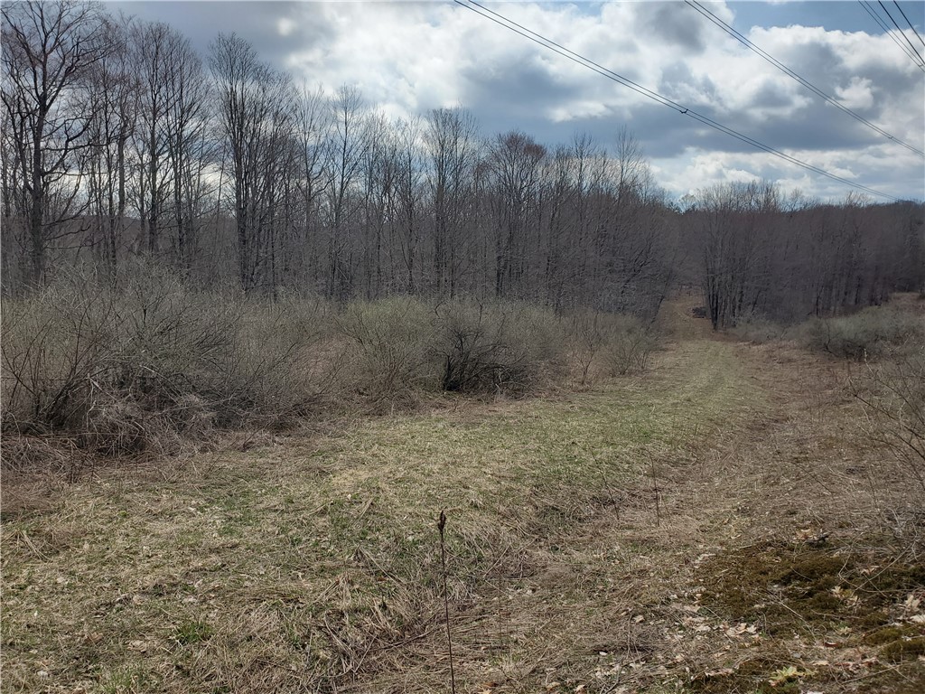 Lot 3 Goddards Road Hartwick, NY 13348 - Photo 15 of 29