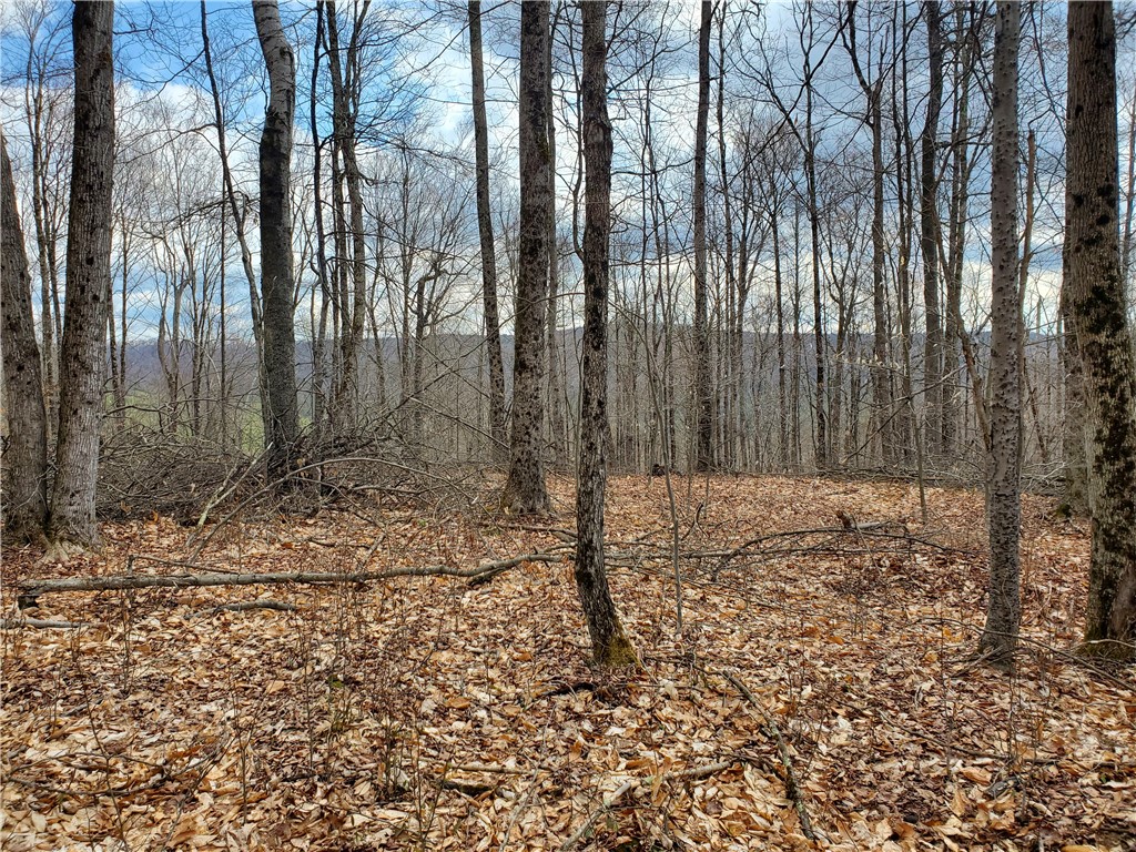 Lot 3 Goddards Road Hartwick, NY 13348 - Photo 16 of 29