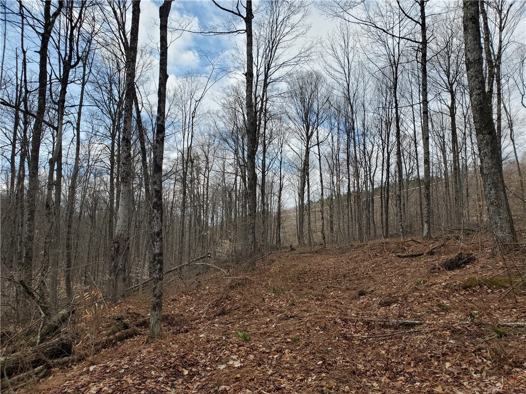 Lot 3 Goddards Road Hartwick, NY 13348 - Photo 17 of 29