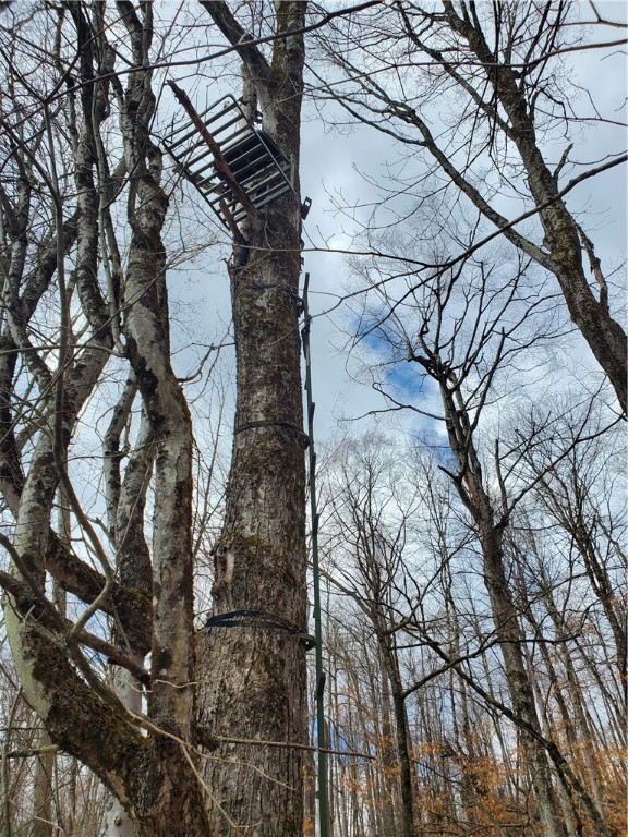 Lot 3 Goddards Road Hartwick, NY 13348 - Photo 18 of 29