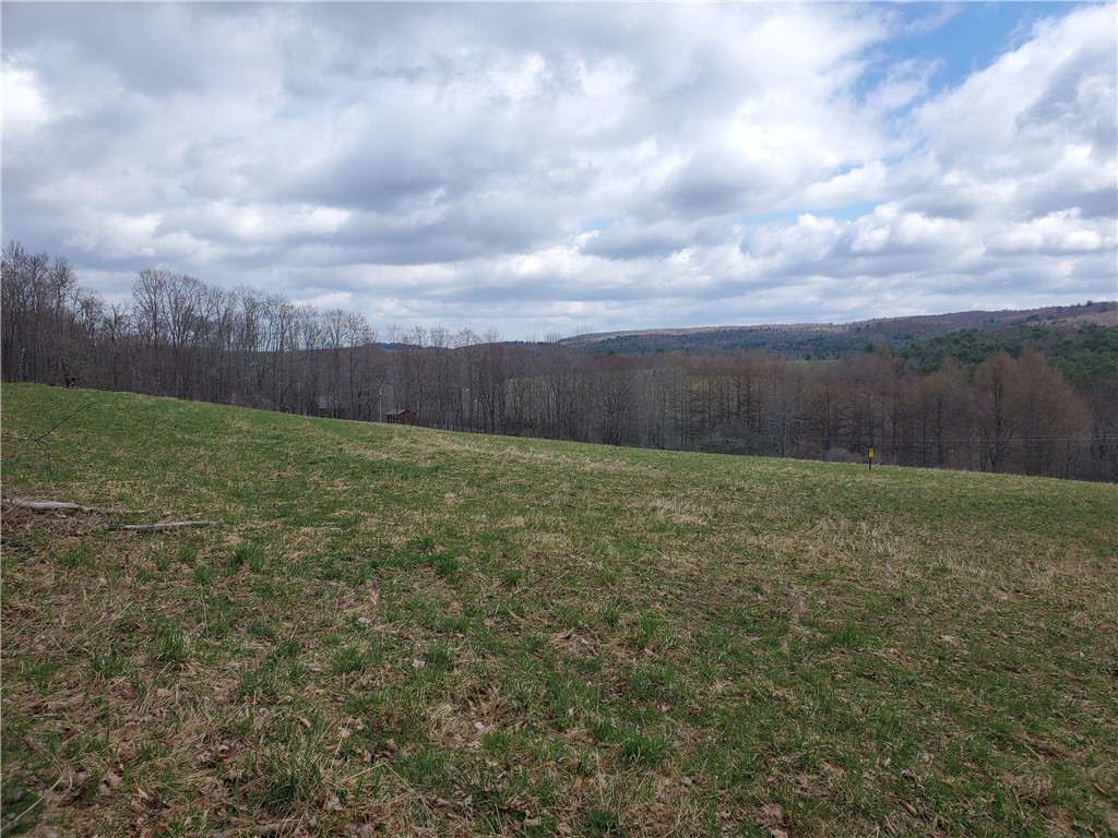 Lot 3 Goddards Road Hartwick, NY 13348 - Photo 19 of 29