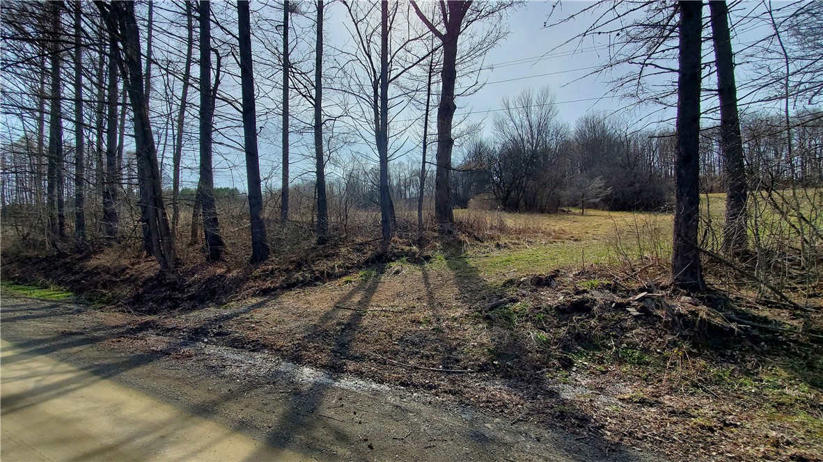 Lot 3 Goddards Road Hartwick, NY 13348 - Photo 20 of 29