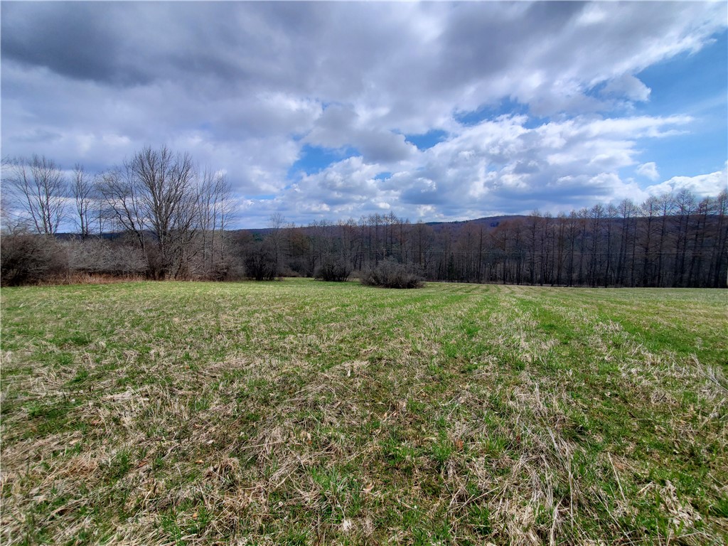 Lot 3 Goddards Road Hartwick, NY 13348 - Photo 2 of 29