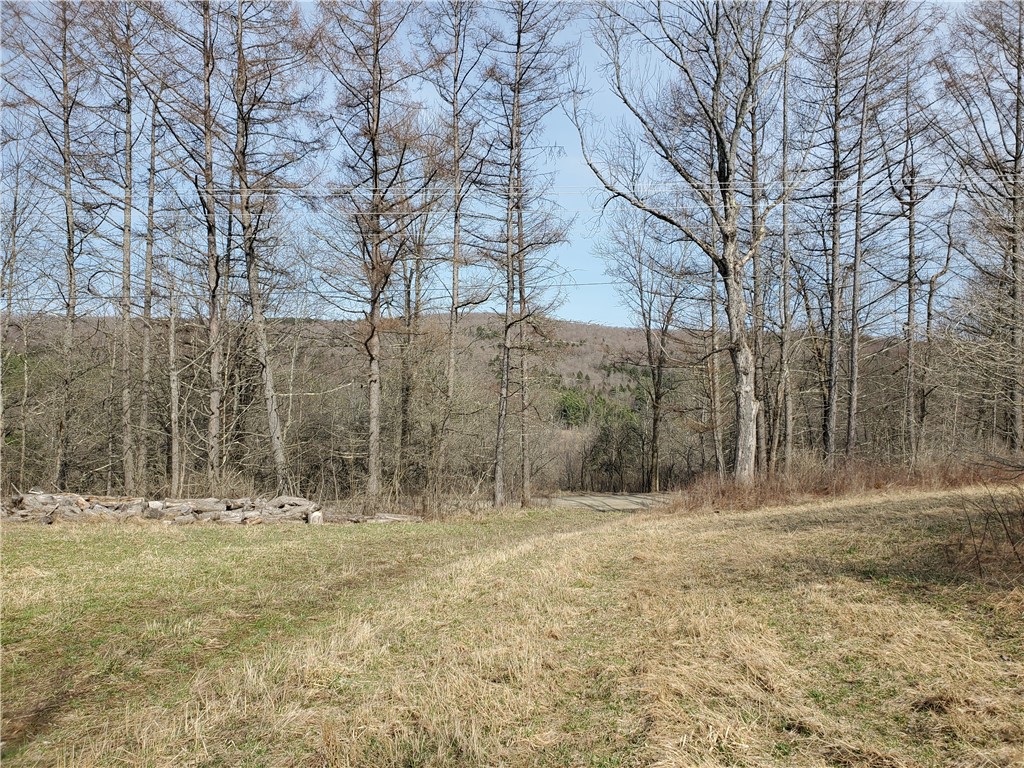 Lot 3 Goddards Road Hartwick, NY 13348 - Photo 21 of 29