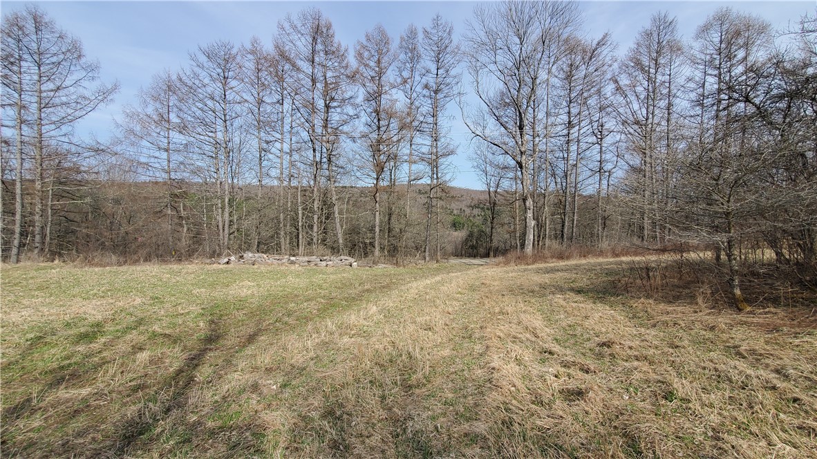 Lot 3 Goddards Road Hartwick, NY 13348 - Photo 22 of 29