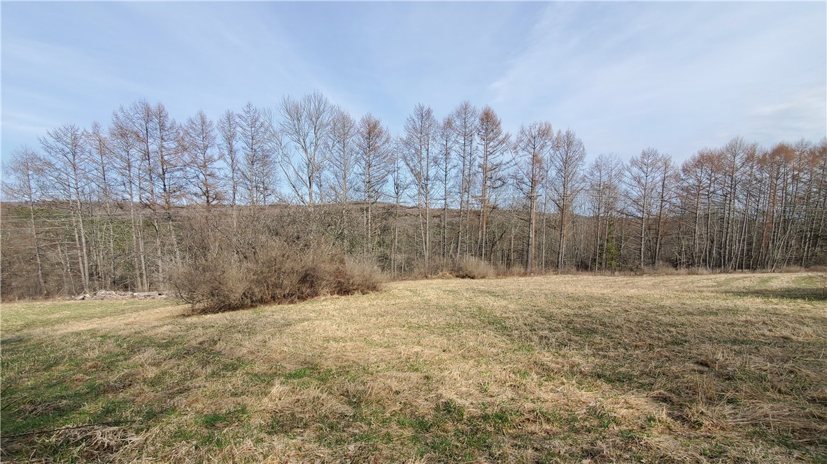 Lot 3 Goddards Road Hartwick, NY 13348 - Photo 23 of 29