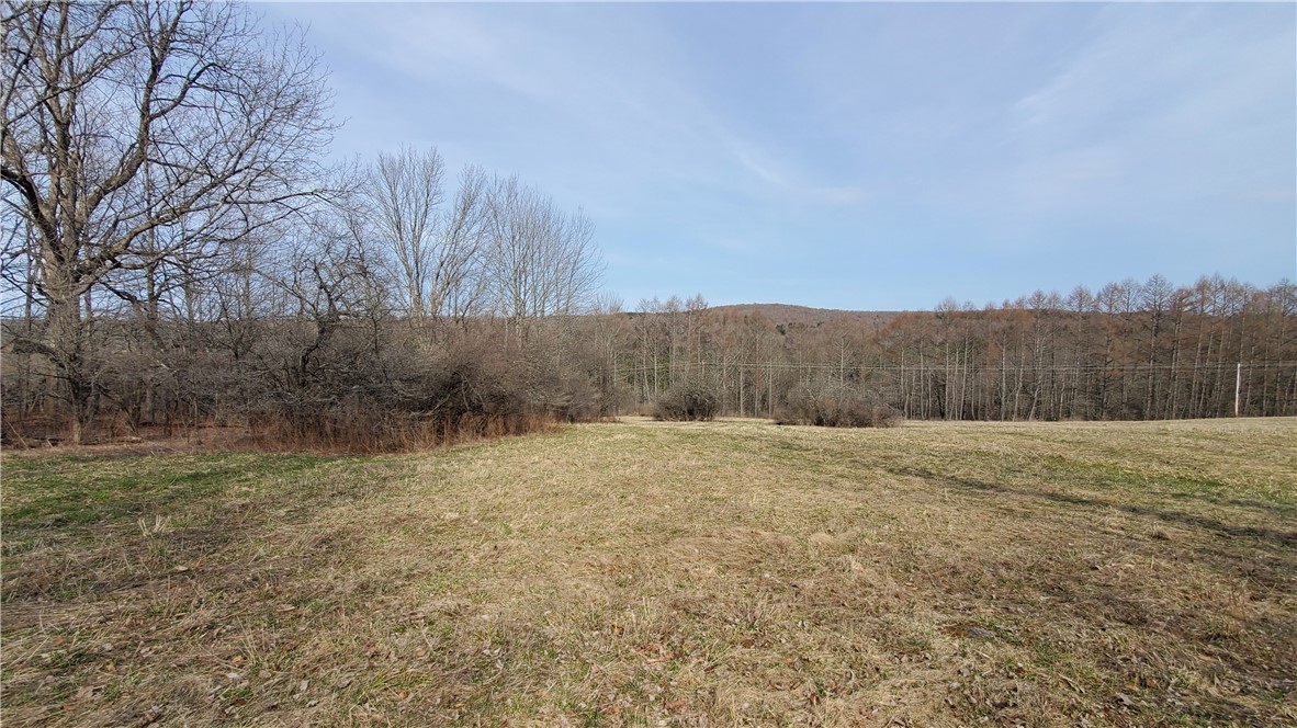 Lot 3 Goddards Road Hartwick, NY 13348 - Photo 25 of 29