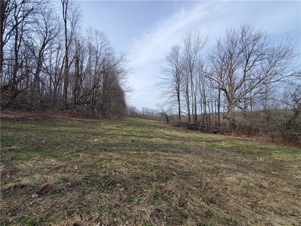 Lot 3 Goddards Road Hartwick, NY 13348 - Photo 26 of 29