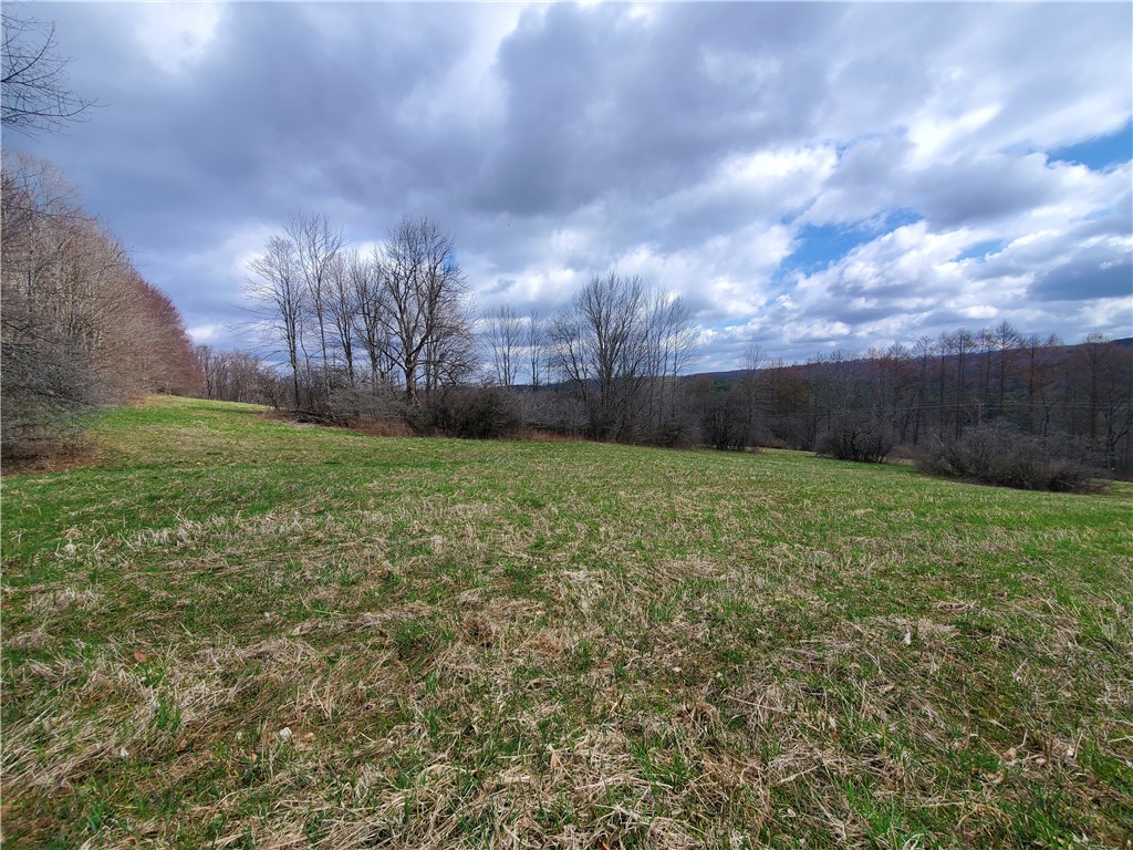Lot 3 Goddards Road Hartwick, NY 13348 - Photo 3 of 29