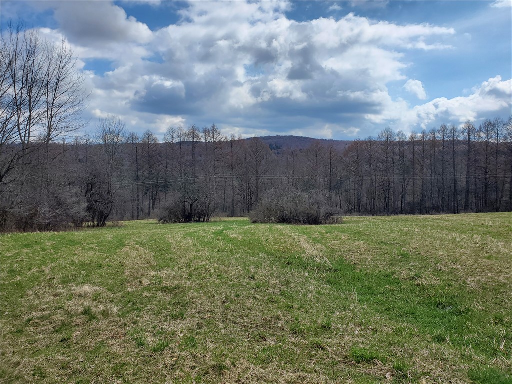 Lot 3 Goddards Road Hartwick, NY 13348 - Photo 4 of 29
