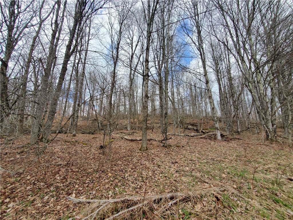 Lot 3 Goddards Road Hartwick, NY 13348 - Photo 8 of 29
