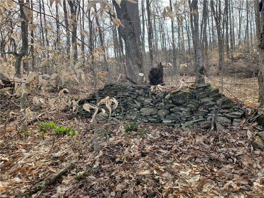 Lot 3 Goddards Road Hartwick, NY 13348 - Photo 9 of 29