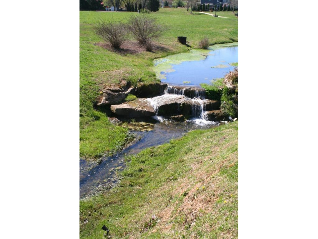 Stream on Common Ground
