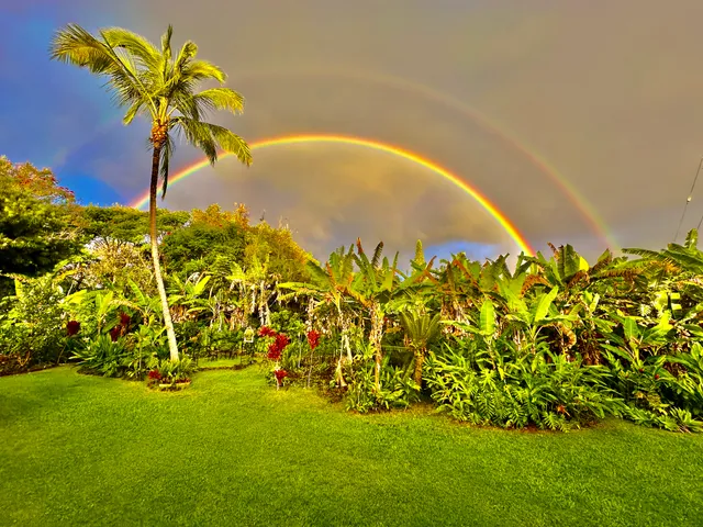 a view of an outdoor space