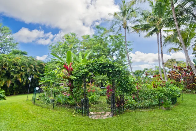 a view of a garden with a flower in a garden