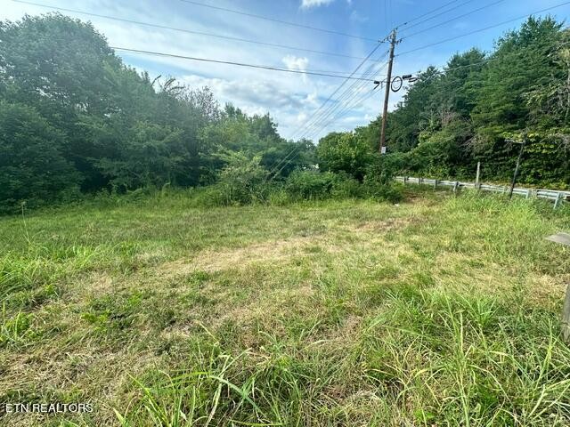 0 Sweetwater Vonore Road Philadelphia, TN 37846 - Photo 3 of 7 a view of a yard with a tree