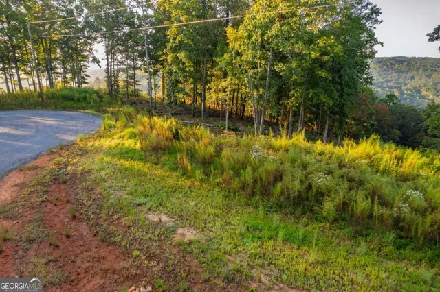 a view of yard with green space
