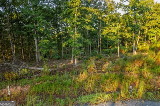 a view of outdoor space and trees
