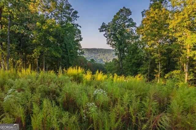 a view of a lake in between two large trees