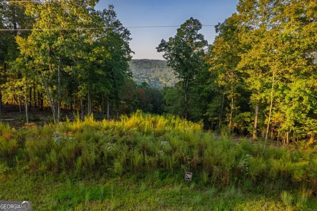 a view of a lake with a house in background