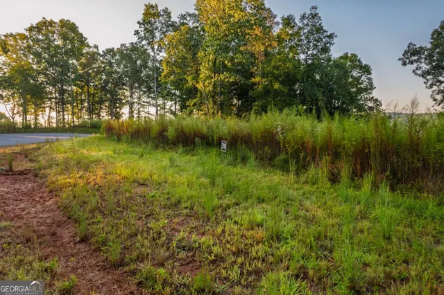 a view of lake with green space