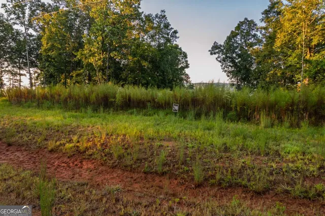 a view of a lake from a yard